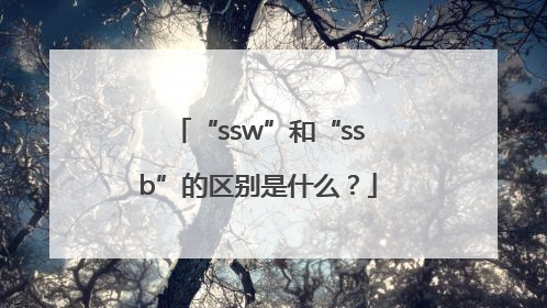 “ssw”和“ssb”的区别是什么？