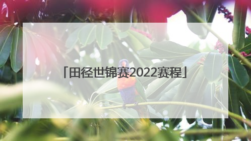 田径世锦赛2022赛程