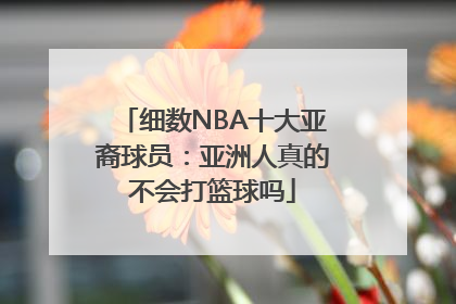 细数NBA十大亚裔球员：亚洲人真的不会打篮球吗