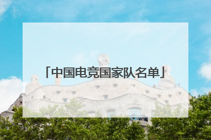 「中国电竞国家队名单」银川电视台文体频道成长栏目