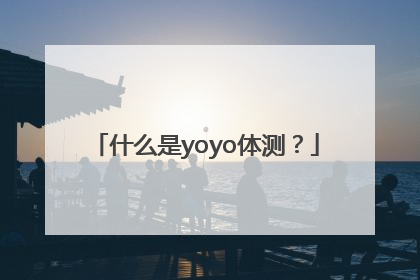 什么是yoyo体测？