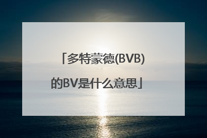多特蒙德(BVB)的BV是什么意思
