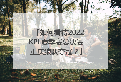 如何看待2022KPL夏季赛总决赛重庆狼队夺冠？