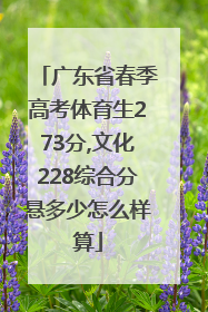 广东省春季高考体育生273分,文化228综合分悬多少怎么样算