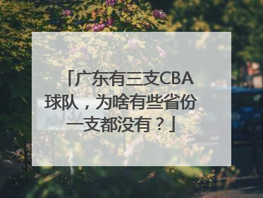 广东有三支CBA球队，为啥有些省份一支都没有？