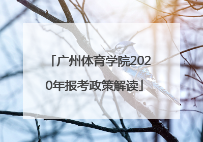广州体育学院2020年报考政策解读