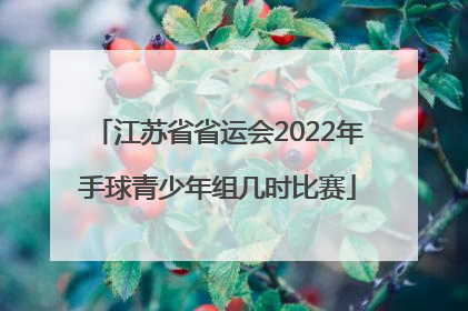 江苏省省运会2022年手球青少年组几时比赛