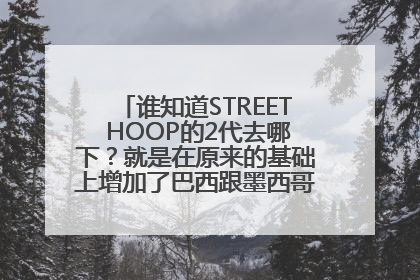 谁知道STREET HOOP的2代去哪下？就是在原来的基础上增加了巴西跟墨西哥队。一款很好的单机街头篮球游戏。