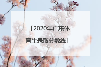2020年广东体育生录取分数线