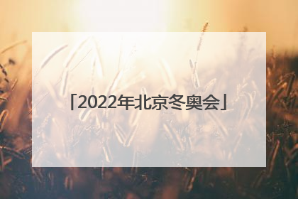 「2022年北京冬奥会」2022年北京冬奥会会徽的名字
