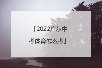 2022广东中考体育怎么考