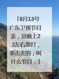 8月13号广东卫视节目表，是晚上22左右散打，拳击类的，叫什么节目，