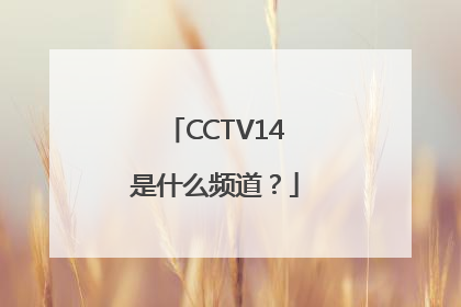 CCTV14是什么频道？