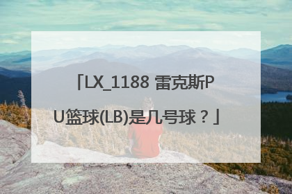 LX_1188 雷克斯PU篮球(LB)是几号球？