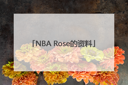 NBA Rose的资料
