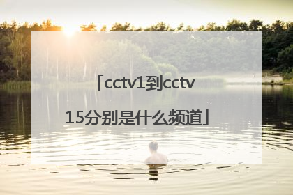 cctv1到cctv15分别是什么频道