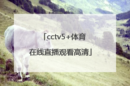 「cctv5+体育在线直播观看高清」cctv5在线直播观看广东体育