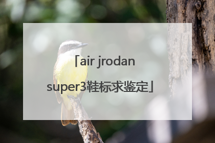 air jrodan super3鞋标求鉴定