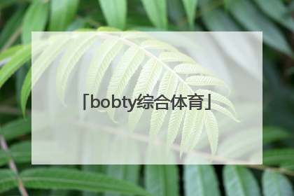 「bobty综合体育」bobty综合体育官方入口