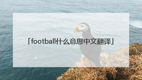 football什么意思中文翻译