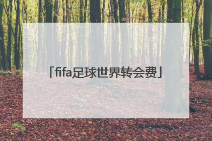 「fifa足球世界转会费」fifa足球世界转会费交易平台