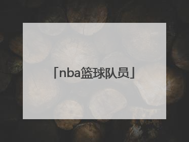 「nba篮球队员」NBA篮球队员图片