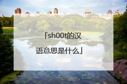sh00t的汉语意思是什么