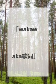 wakawaka歌词
