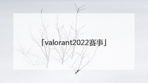 「valorant2022赛事」valorant2022冠军皮肤