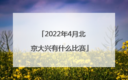 2022年4月北京大兴有什么比赛